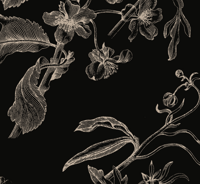 ShiromaPW Blouse Black Botanical print