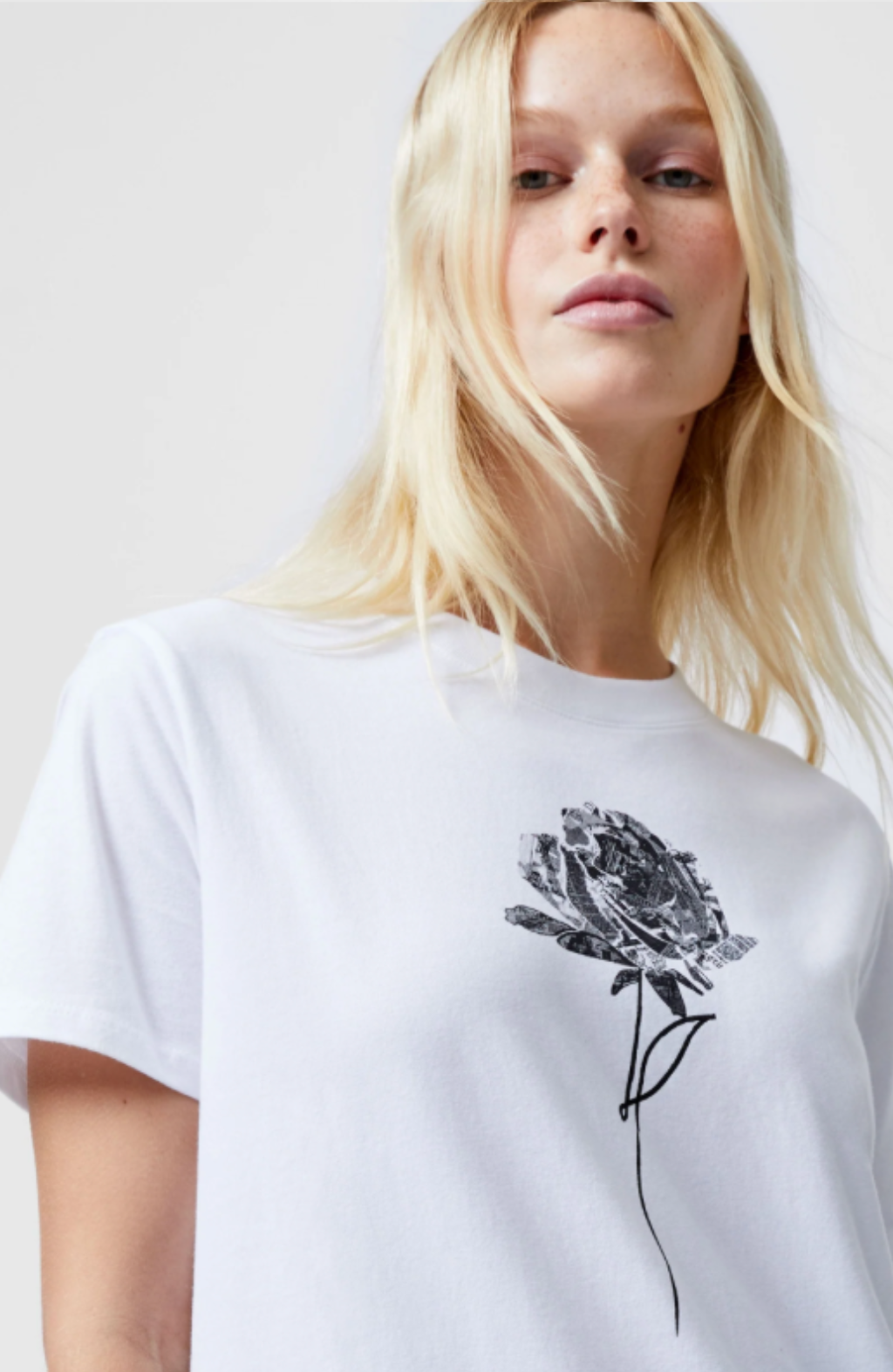 Rose Logo Peached Graphic T-Shirt